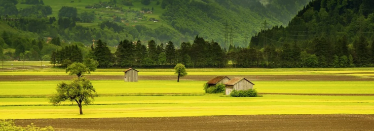 farm
