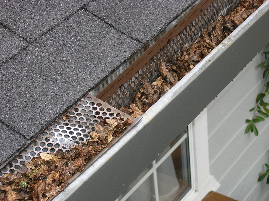 Factors to Consider When Choosing the Best Gutter Guard for Your House post thumbnail image